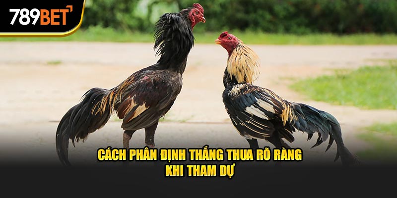 Cách phân định thắng thua rõ ràng khi tham dự