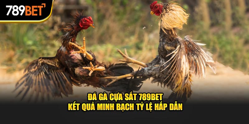 Đá Gà Cựa Sắt