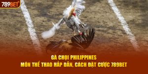 Gà Chọi Philippines