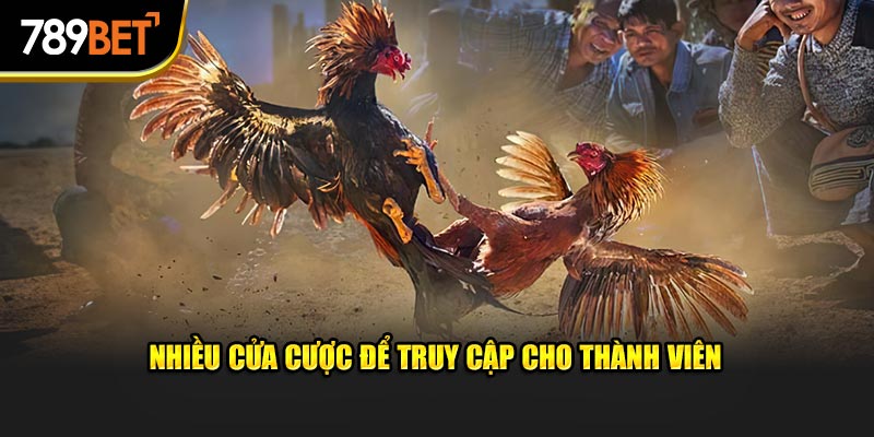 Nhiều cửa cược để truy cập cho thành viên