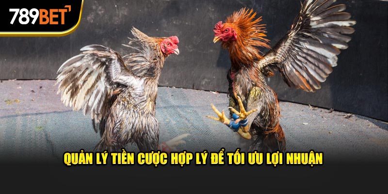 Lựa chọn giống phù hợp với bản thân khi tham dự