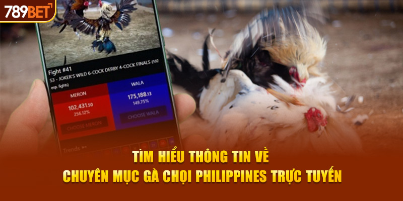 Tìm hiểu thông tin về chuyên mục gà chọi Philippines trực tuyến