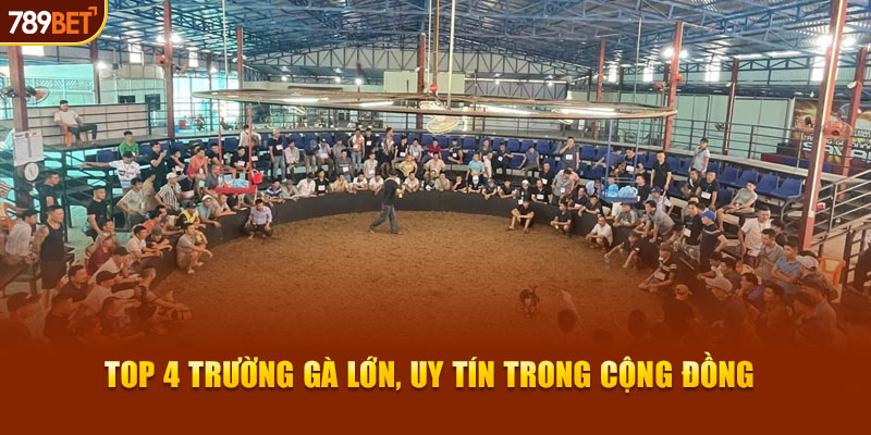 Top 4 trường gà lớn, uy tín trong cộng đồng